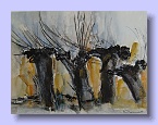 "Kopfweiden"